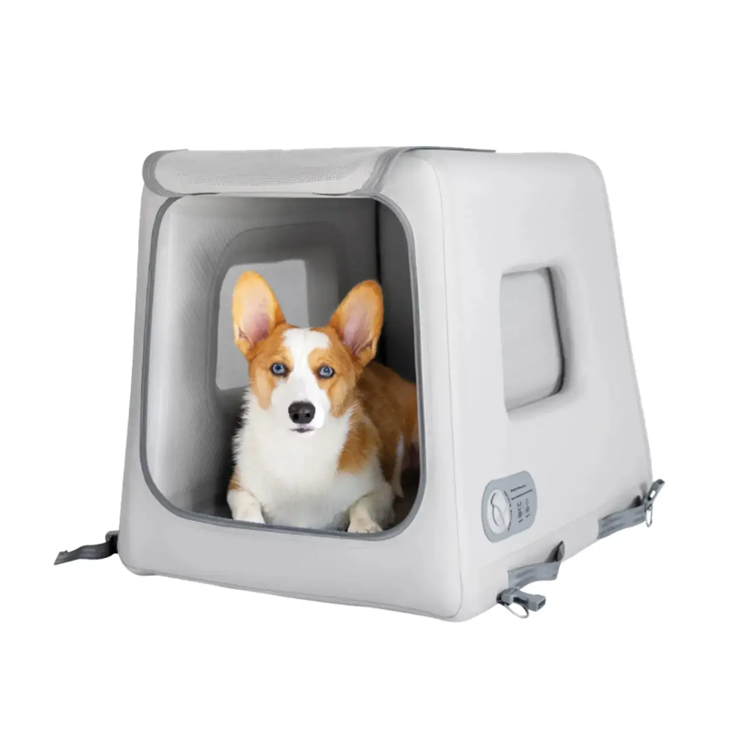 Pet Box